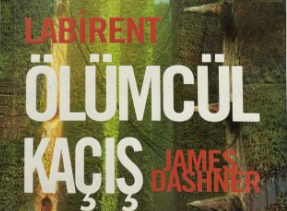Labirent: Ölümcül Kaçış – Kitap Özeti