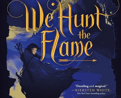 We Hunt the Flame by Hafsah Faizal